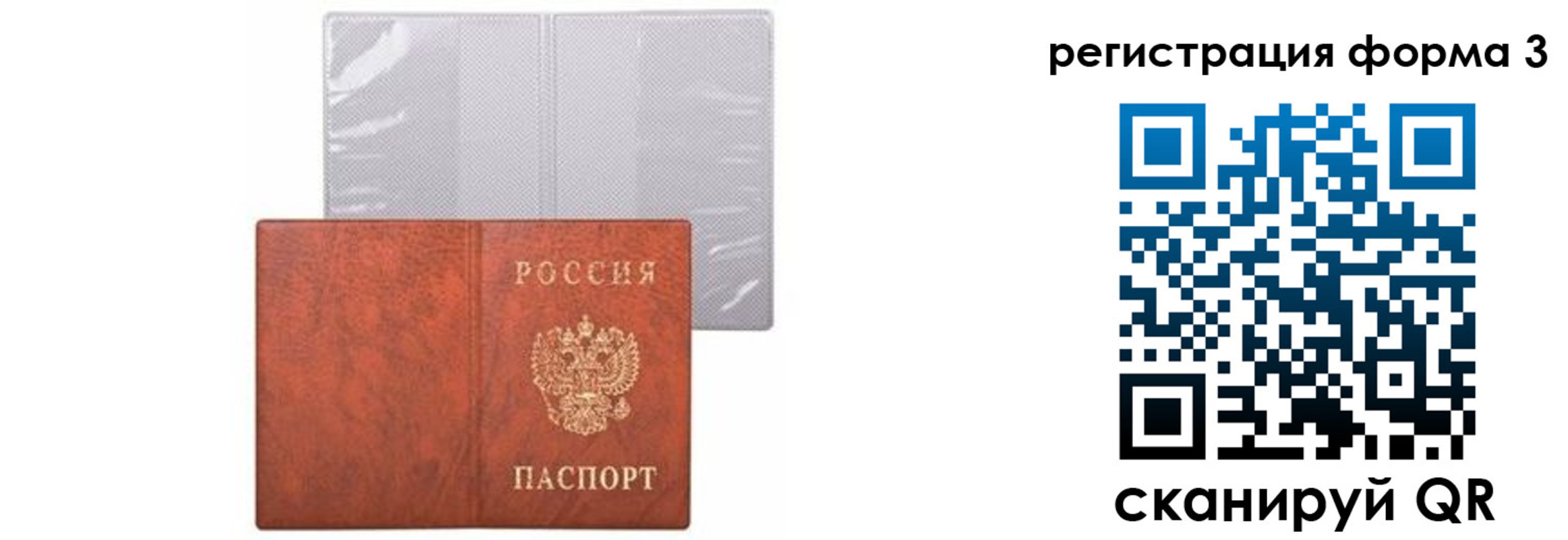 прописка 2025 в Сельцо